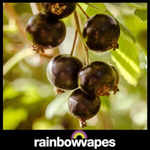 Blackcurrant Cloud Chaser E-Liquid 60ml