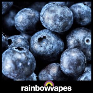 Blueberry Cloud Chaser E-Liquid 60ml