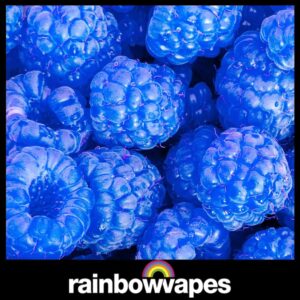 Blue Raspberry Cloud Chaser E-Liquid 60ml