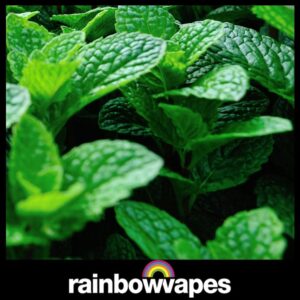 Double the Mint Cloud Chaser E-Liquid 60ml