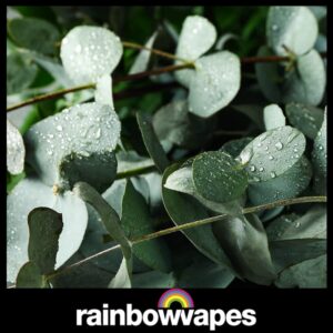 Eucalyptus and Menthol Cloud Chaser E-Liquid 60ml