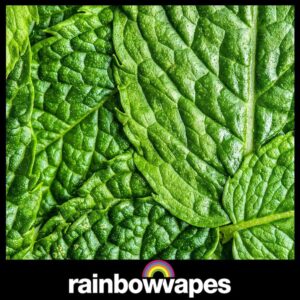Menthol E-liquid 60ml