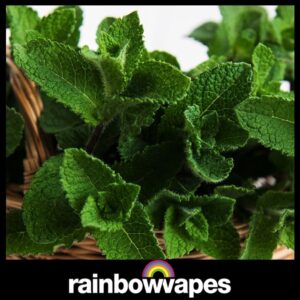 Menthol ice E-liquid 60ml