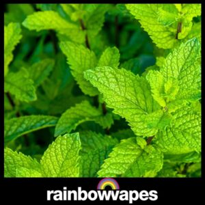 Peppermint E-liquid 60ml