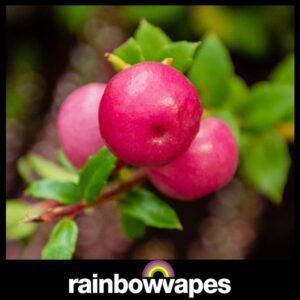 Pink Berries Cloud Chaser E-Liquid 60ml by Rainbowvapes