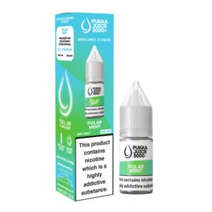 Pukka Juice 5000+ Polar Mint Nic Salt E-Liquid 10ml